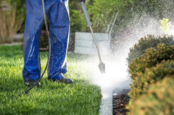 Curb Cleaning in Marion