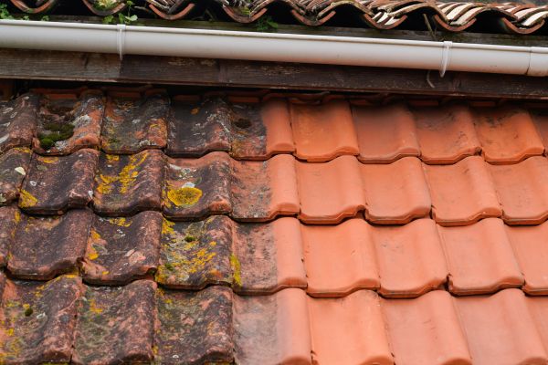 Industrial Roof Cleaning in Marion